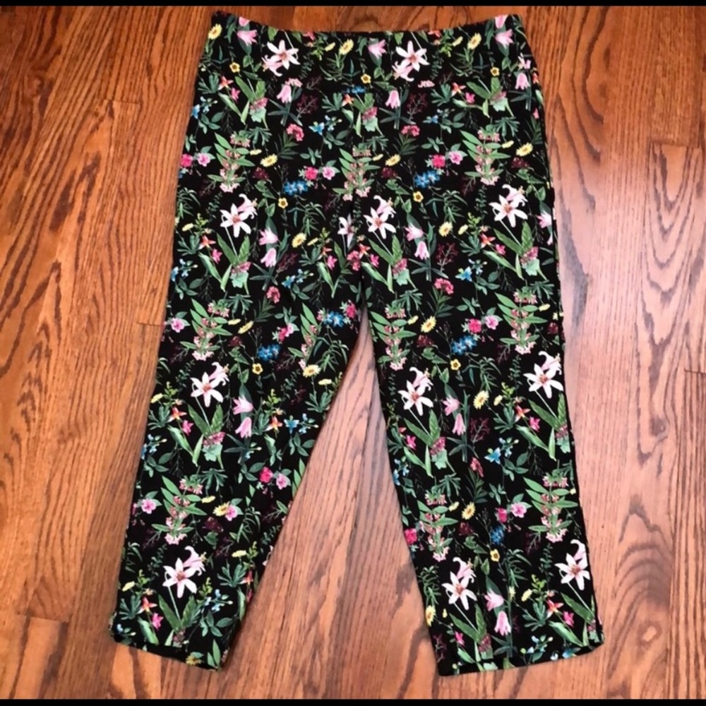 Roz & Ali Pull On Capris